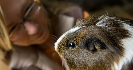 Meerschweinchen im Arm, dahinter Katharina Winterkamp