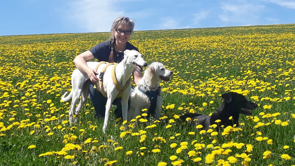 Katharina Winterkamp mit drei Hunden in einer blühenden Löwenzahnwiese