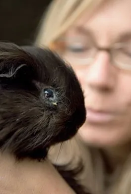 Schwarzes Meerschweinchen, dahinter Katharina Winterkamp