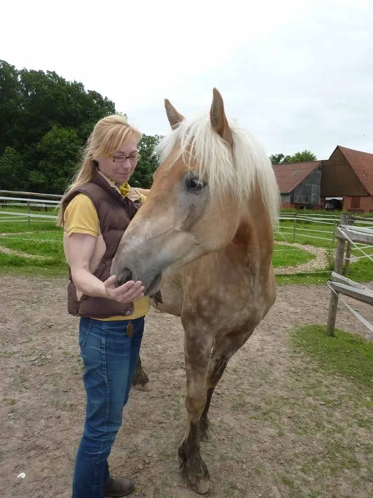 Katharina Winterkamp mit einem Haflinger