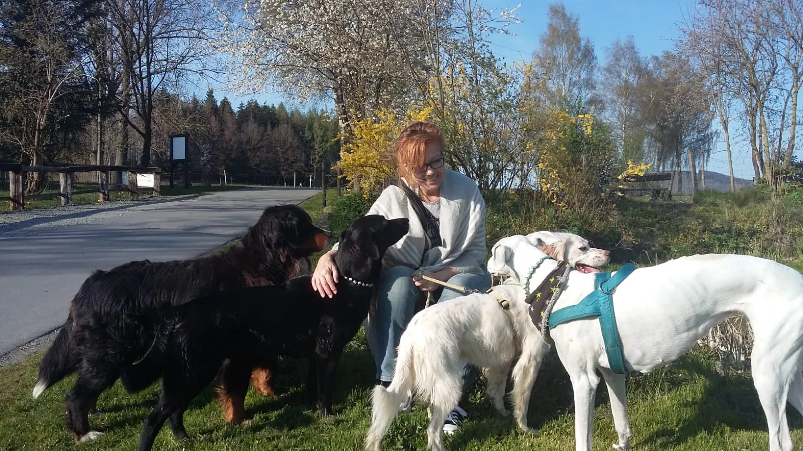 Katharina Winterkamp mit vier Hunden bei einem Spaziergang im Frühling
